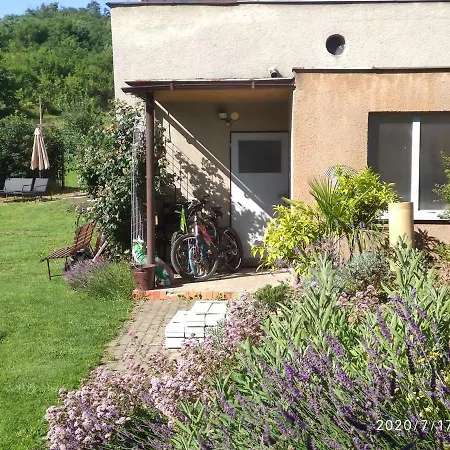Apartman Lenka Borsice Exterior photo